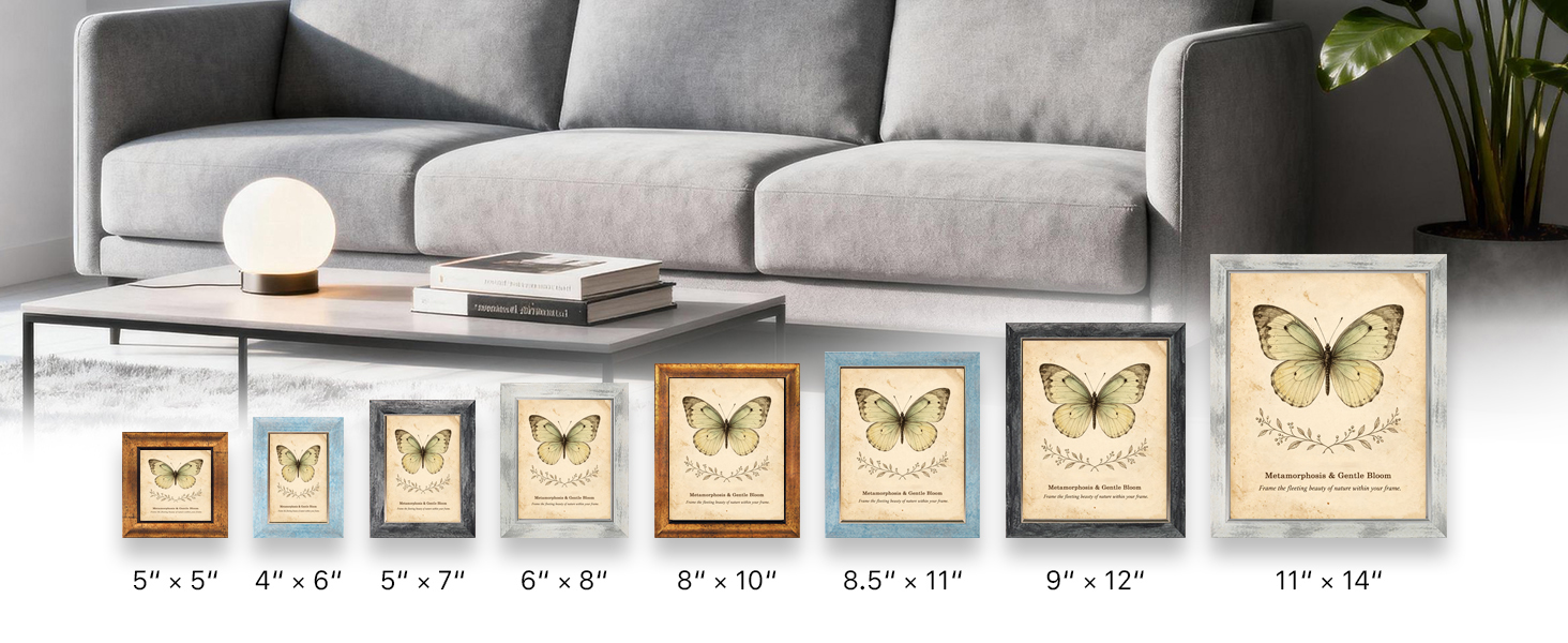 picture frame