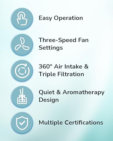 H13 TRUE HEPA AIR PURIFIER