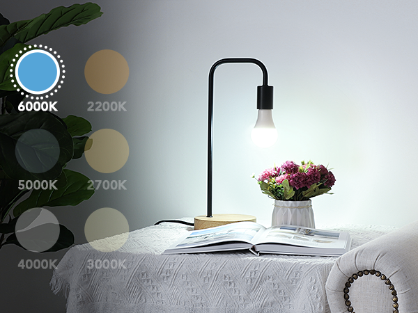 6000K A19 Light Bulbs