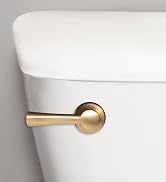 brushed gold toilet handle