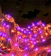 Orange and Purple Net Lights
