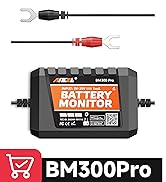 BM300 PRO 24V Battery Monitor