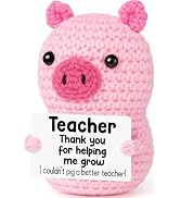 Funny Positive Pig Teacher Appreciation Gifts for Women, Back to School Thank You Gifts for Teach...
