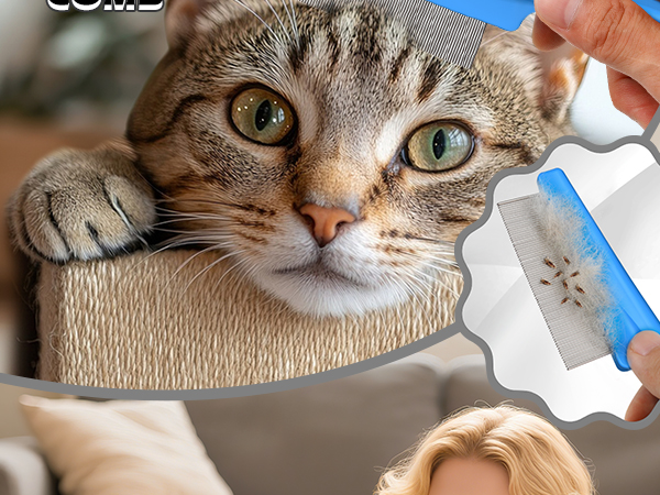 cat dematting tool