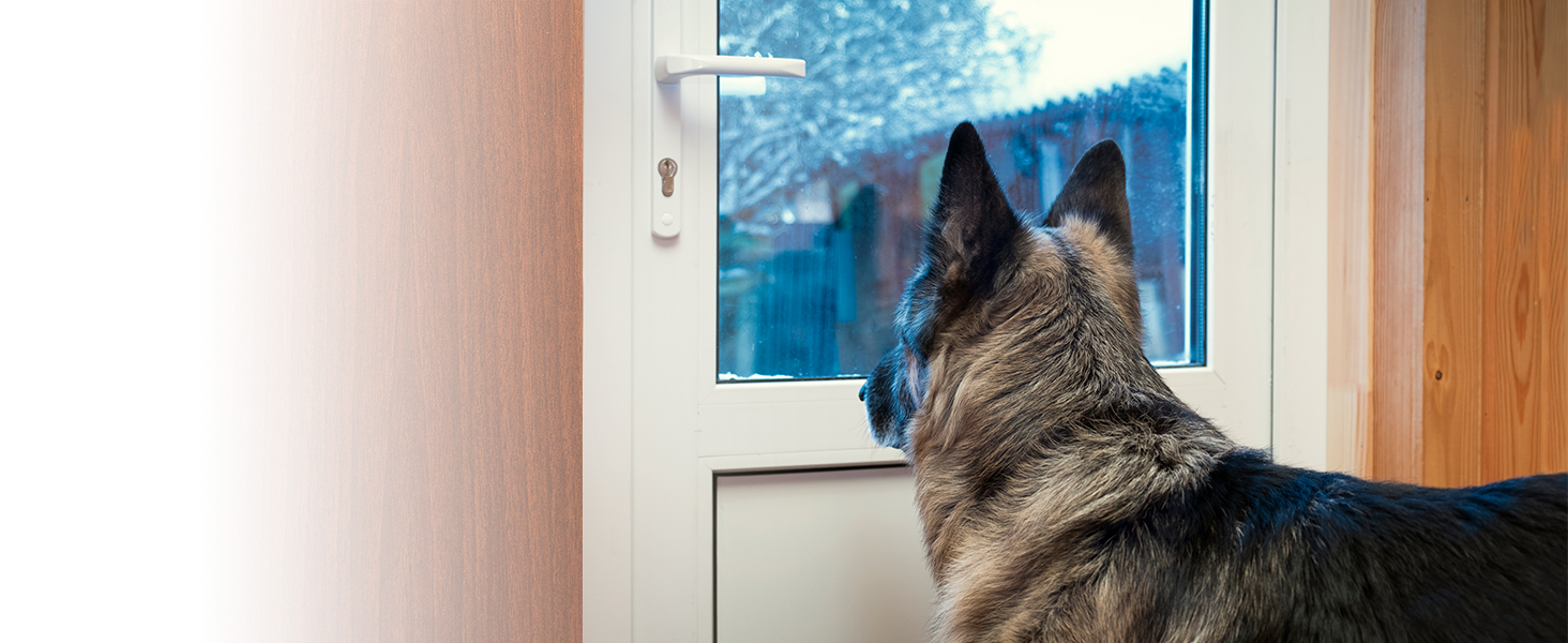 Home Security Door Lock