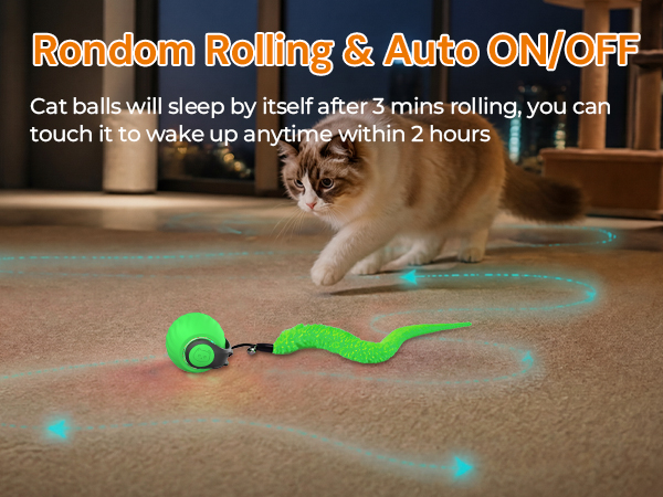 ball cat toy