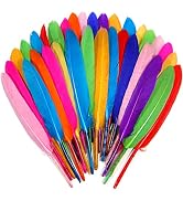 FeelfunFeather 120pcs Mix Colur Goose Cochettes Feather 4-6 inch 10-15cm Bulk Natural for Wedding...