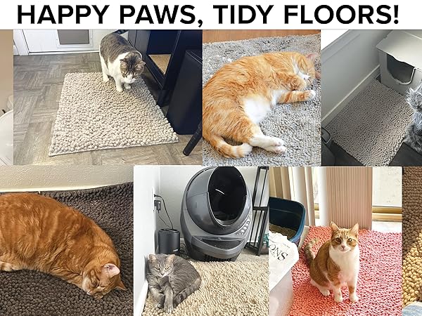 cat litter mat box trapping for matt kitty xl large supplies indoor cats things litterbox catcher