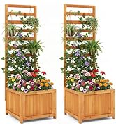 Giantex Set of 2 Wood Raised Garden Bed with Trellis, Outdoor Planter Box for Vines Flowers Veget...