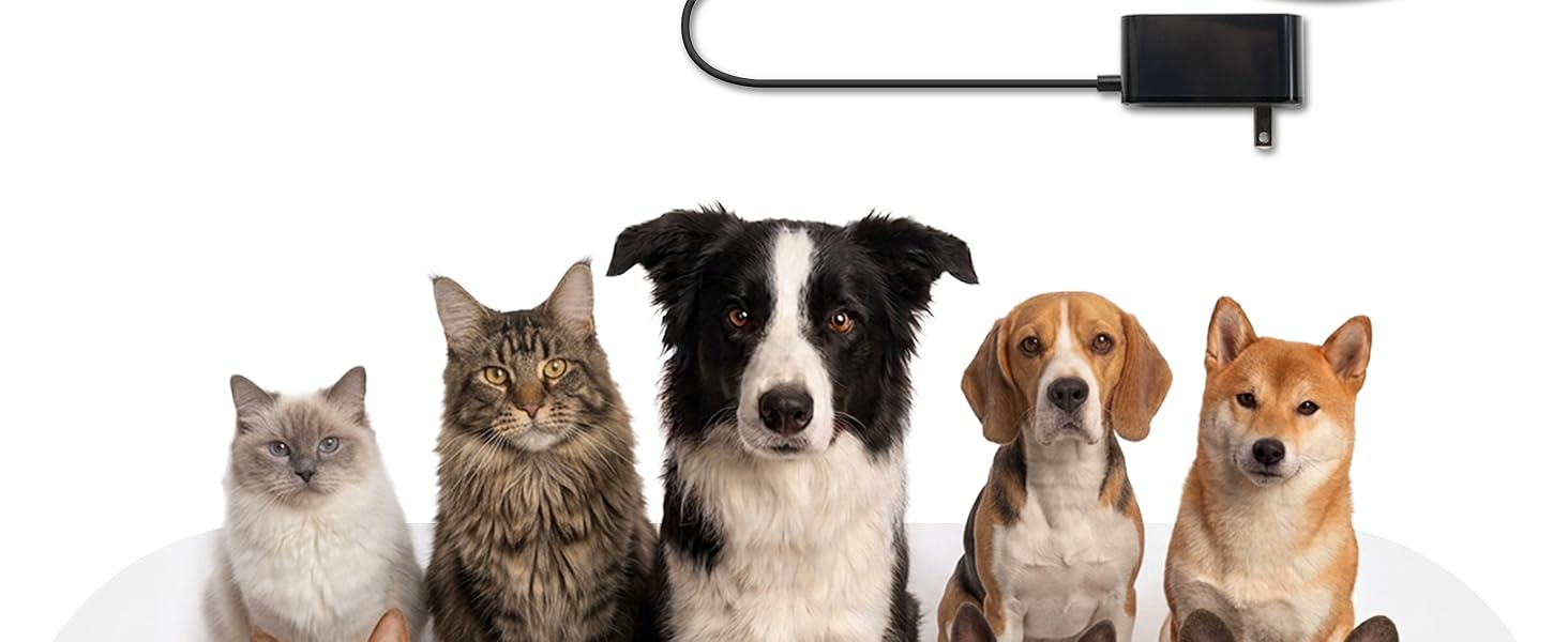 dog cooling mat