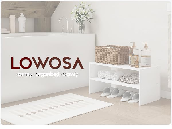 LOWOSA 2 tier shoe rack