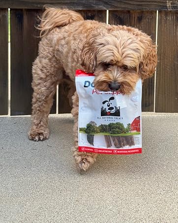 Downtown Pet Supply best bully pizzle sticks rawhide free all natural single ingredient chews