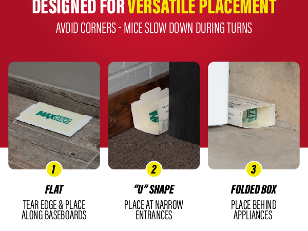 Max-Catch placement guide for versatile pest control near walls, doors and appliances