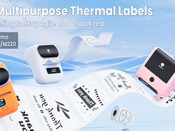 phomemo labels