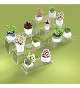 SOVQUEST 6 PCs Risers Display Stands 3 Tiers Desktop Acrylic Shelves Cake Dessert Holder Products...