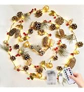 Christmas Lights Indoor 9.8FT 80 LED Garland with Lights Fairy Lights Battery Operated String Lig...