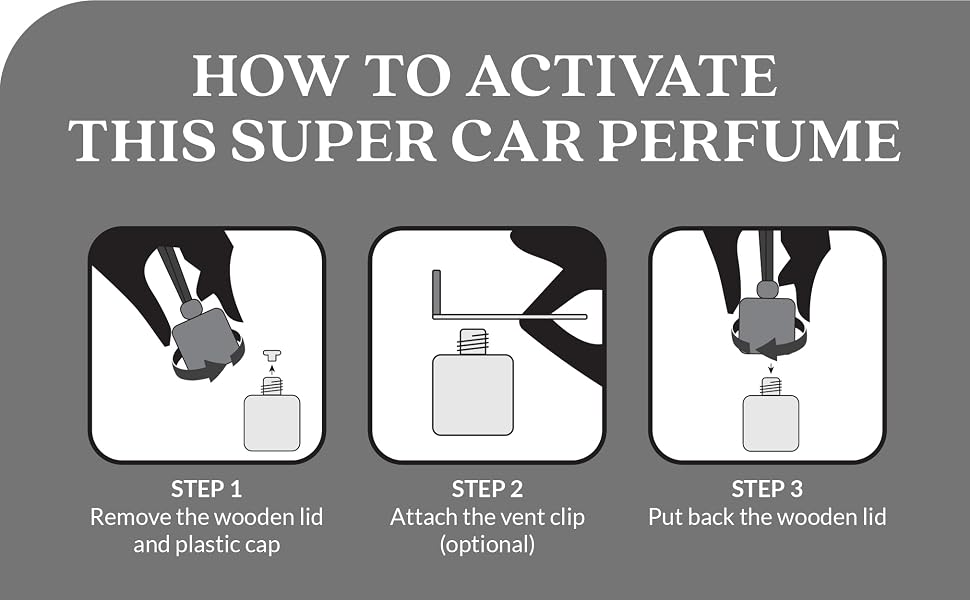 Car Air Freshener Car Freshener Car Accessories
