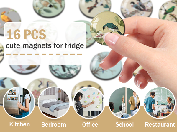 1368 bird magnets sj