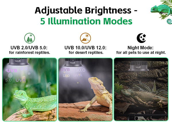 t5 uvb reptile light fixture