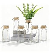 Set of 6 Vintage Glass Vases for Flowers Farmhouse Clear Glass Vases for Centerpieces Small Flowe...