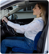 car seat cushion and lumbar pillow