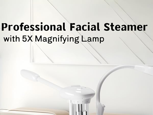 facial steamer professional