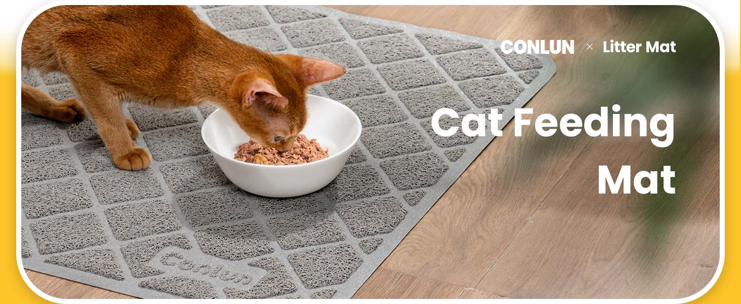 cat litter mat