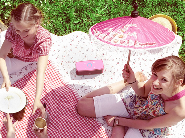 Outdoor Speaker for Picnic