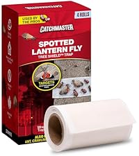 https://m.media-amazon.com/images/I/41Ryv-5rWML.__AC_SR200,225___.jpg