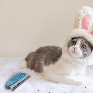 Pet hair remover brush application