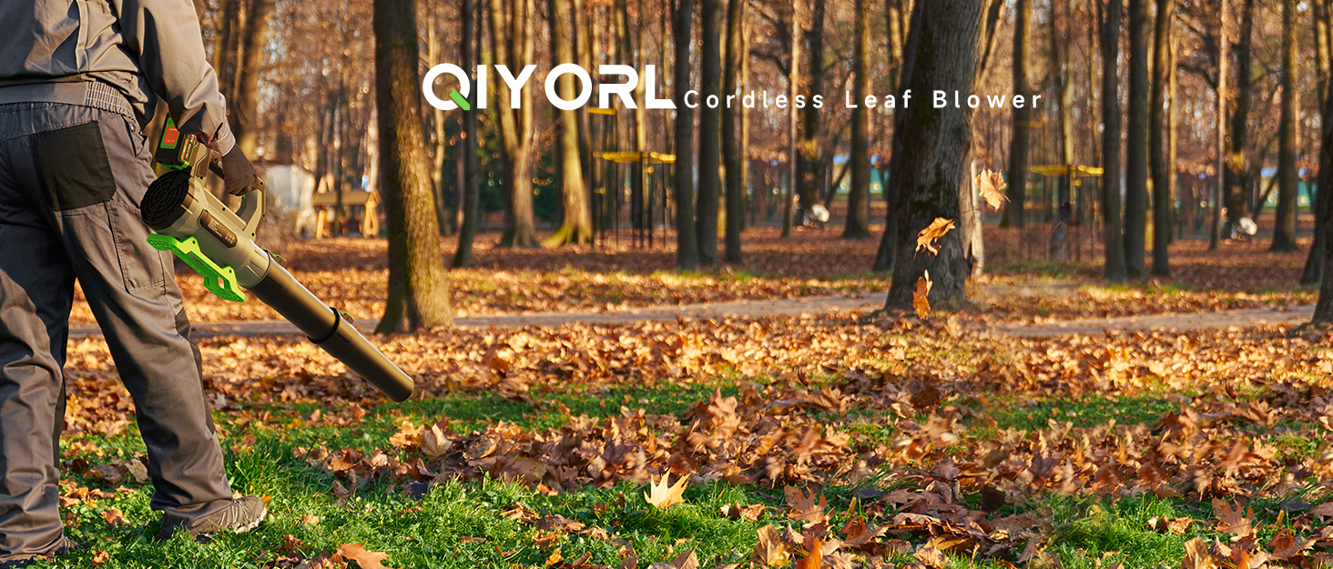 Cordless Leaf Blower