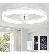 LEDIARY 20" Ceiling Fans with Lights and Remote, Modern Low Profile Ceiling Fan, 3 CCT, Stepless ...