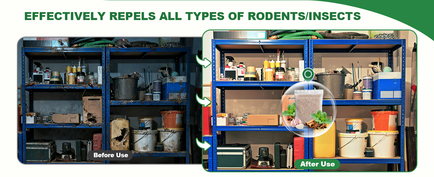 Rodent Control in Warehouses