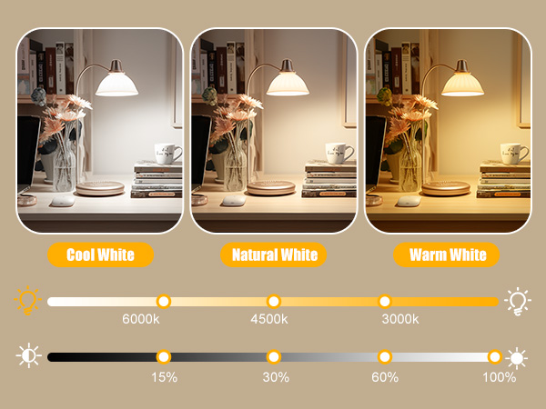 Brightown E26 Rechargeable Light Bulb with Remote