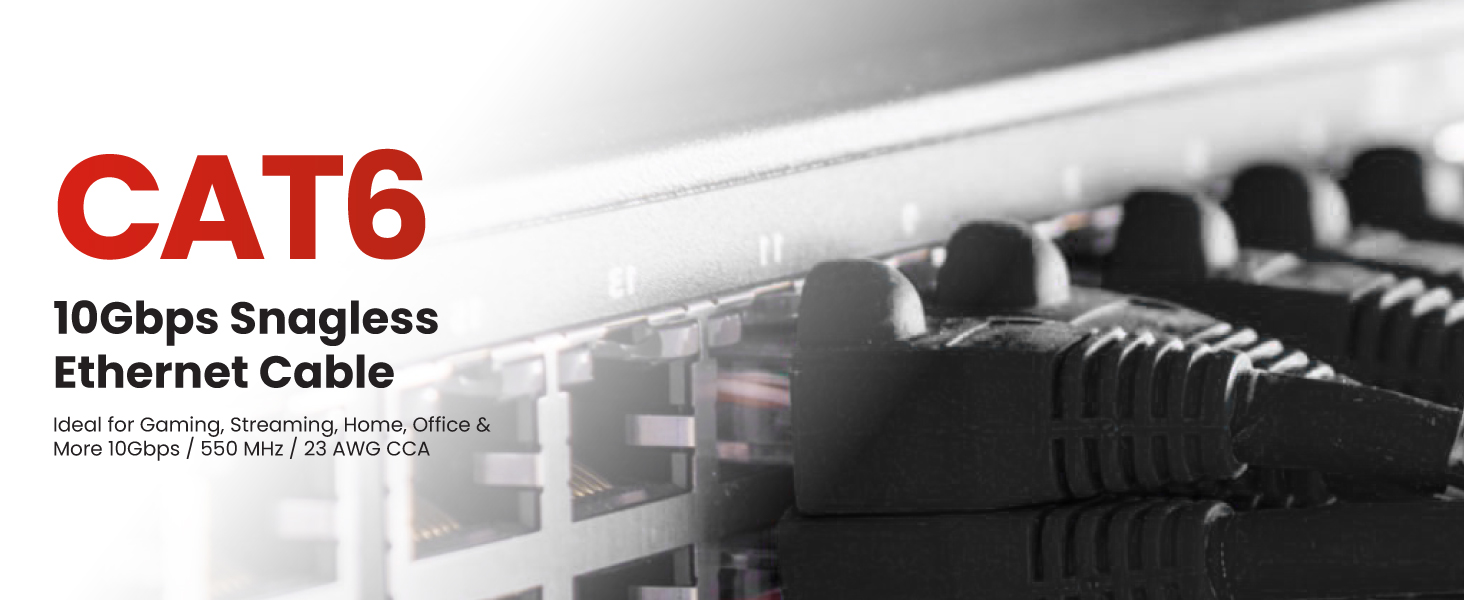 Ethernet Cable 100ft