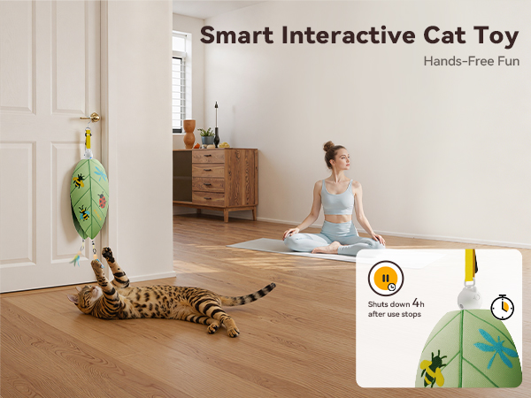 Door Hanging Cat Toy