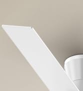 CSWF Ceiling Fan Light Modern With Remote - Outdoor Ceiling Fan with Remote, 3000K-6500K Dimmable...