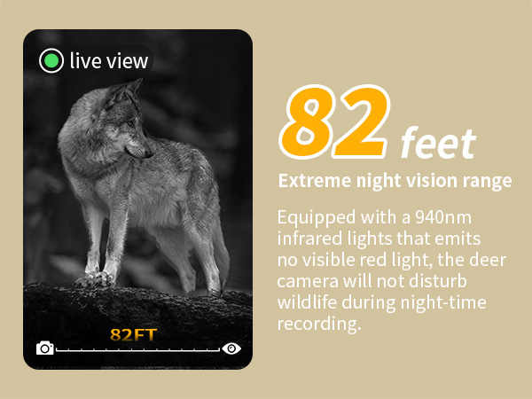 trail camera