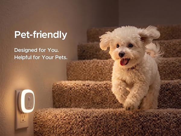 Pet-friendly - Provides lighting for your cats and dogs while they eat or drink.
