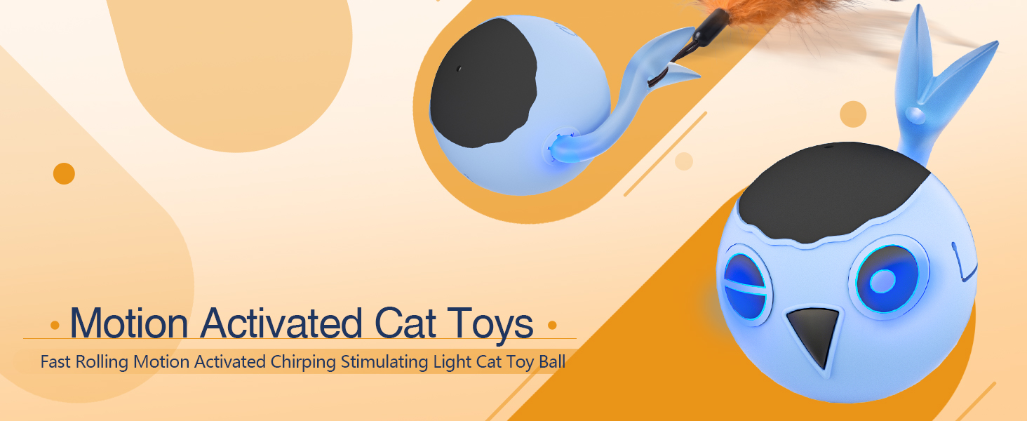 interactive cat toy