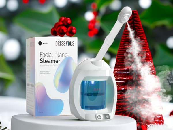 face steamer