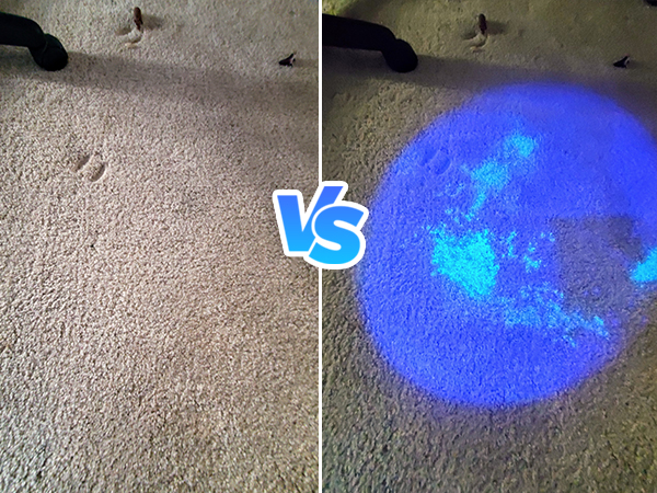 365nm black light flashlight