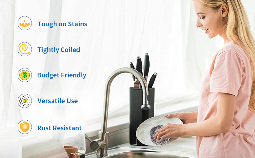 stainless steel scrubber
