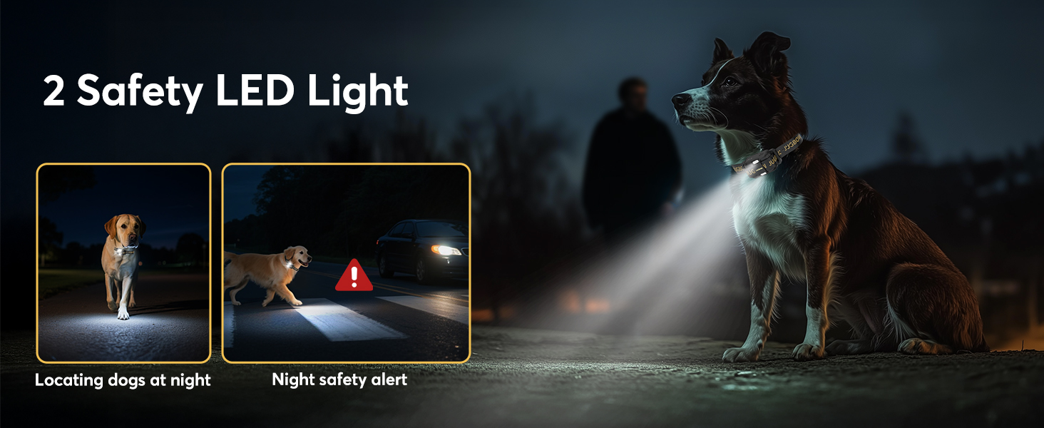 dog shock collar with remote control