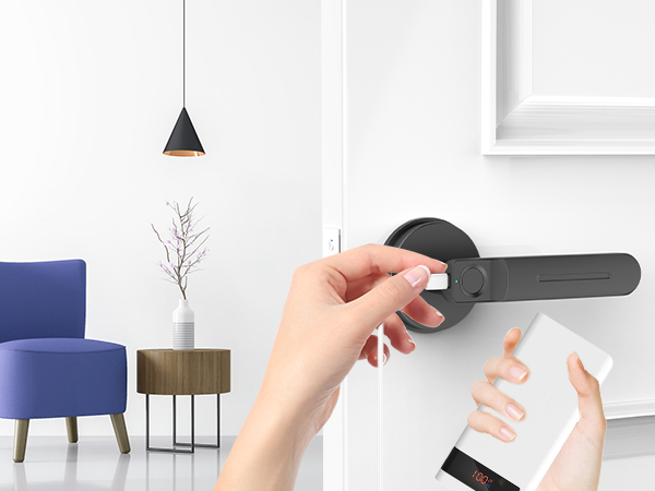 FD01 Black USB Port for Emergency Unlock