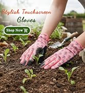 Woman Gloves