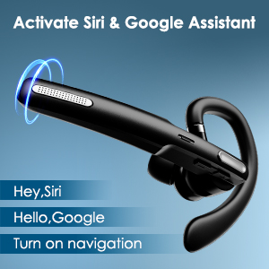 Voice Assistant