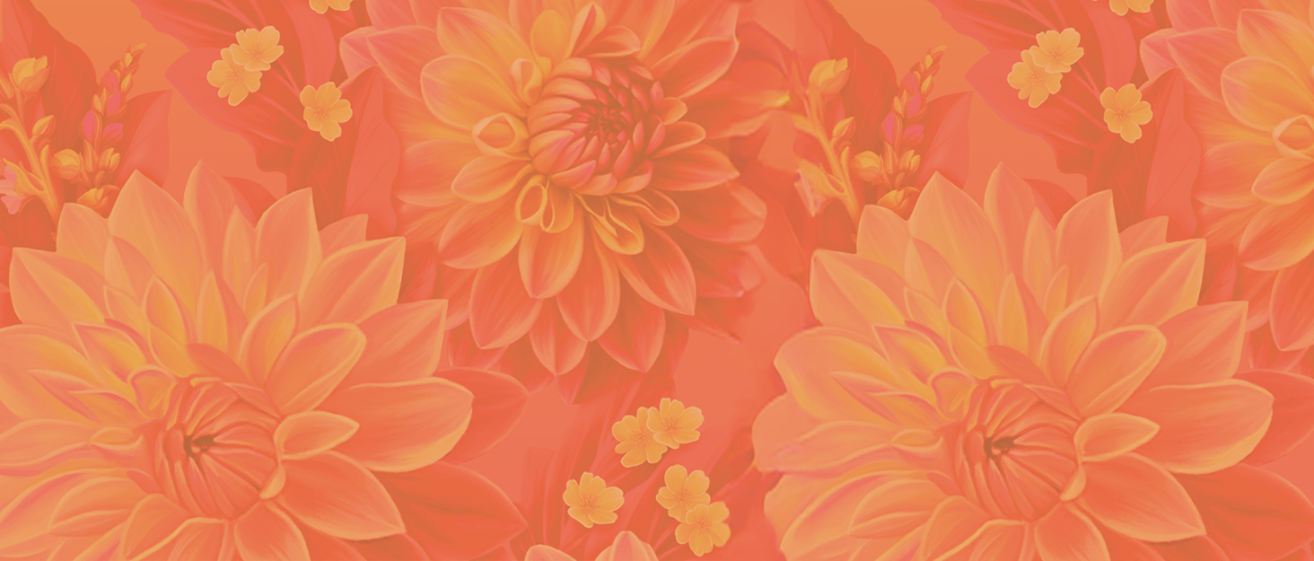 Dahlia Sunrise
