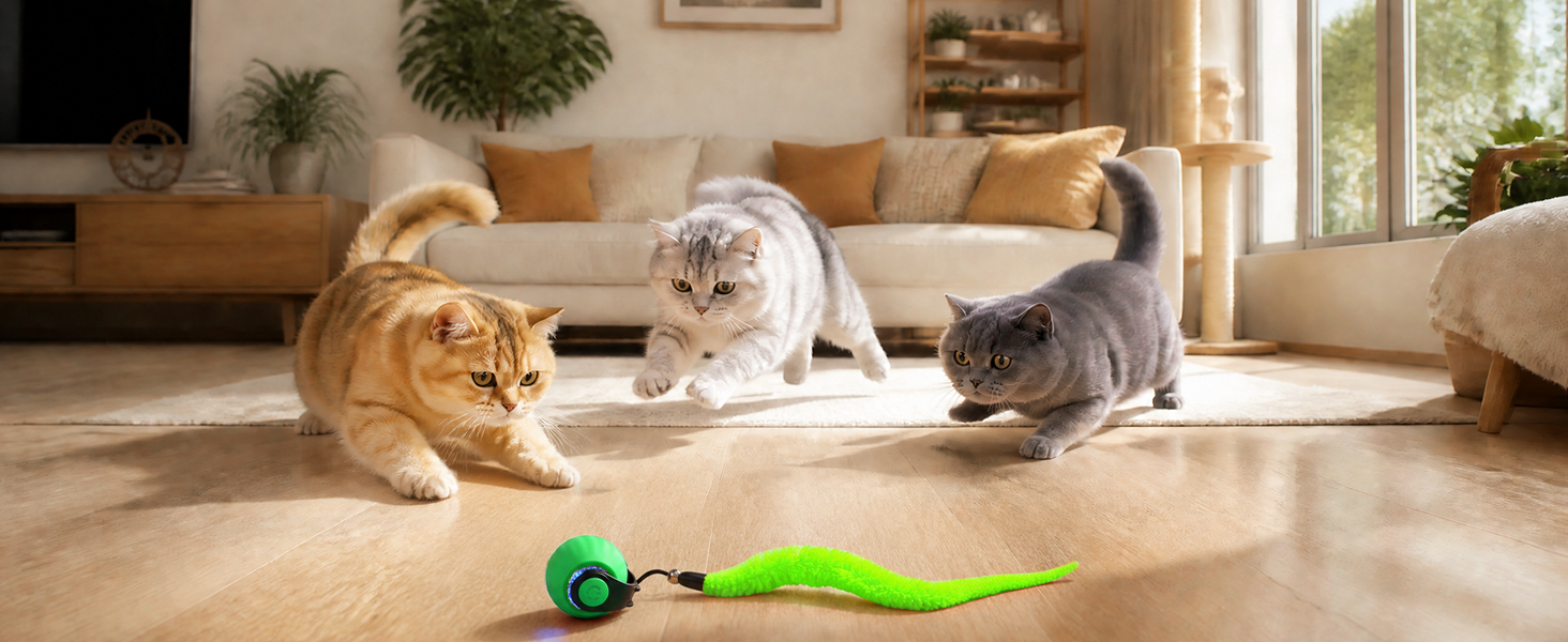 ball cat toys