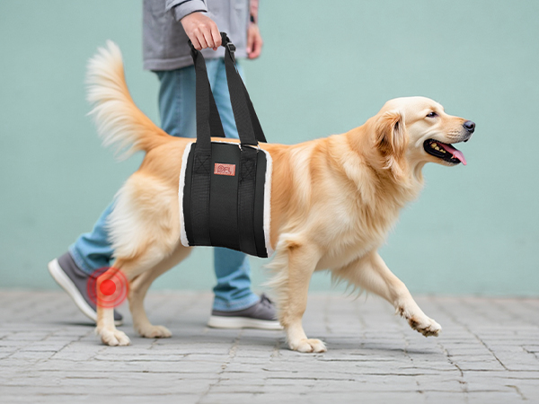 PICK FOR LIFE Dog Lift Harness dog sling for large dogs hind leg support